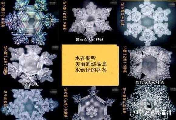 生命的起点，论中最理想楼层的选择,象征,命运,第1张