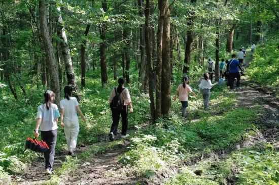 山，解读中的神秘象征,象征,气场,寺庙,第1张