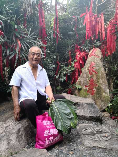组求签播放大全，探索传统智慧与现代科技的结合,挑战,自我,求签,第1张