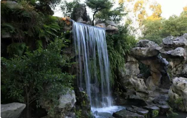 假山池种植指南，选择与布局技巧,象征,合作,气场,第1张