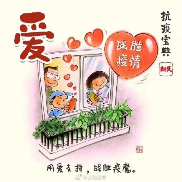 家旁养月季，解析其寓意与生活影响,象征,气场,能量,第1张