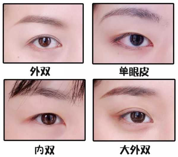 十二星座，你是什么动物眼型图片,象征,十二星座,自我,第1张