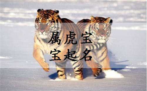 属虎名字部首吉凶，如何选择一个属虎宝宝的好名字,象征,命运,吉凶,第1张