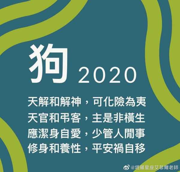 生肖狗男生运势解析，狗年出生的你运筹帷幄，掌控未来！,事业,挑战,合作,第1张