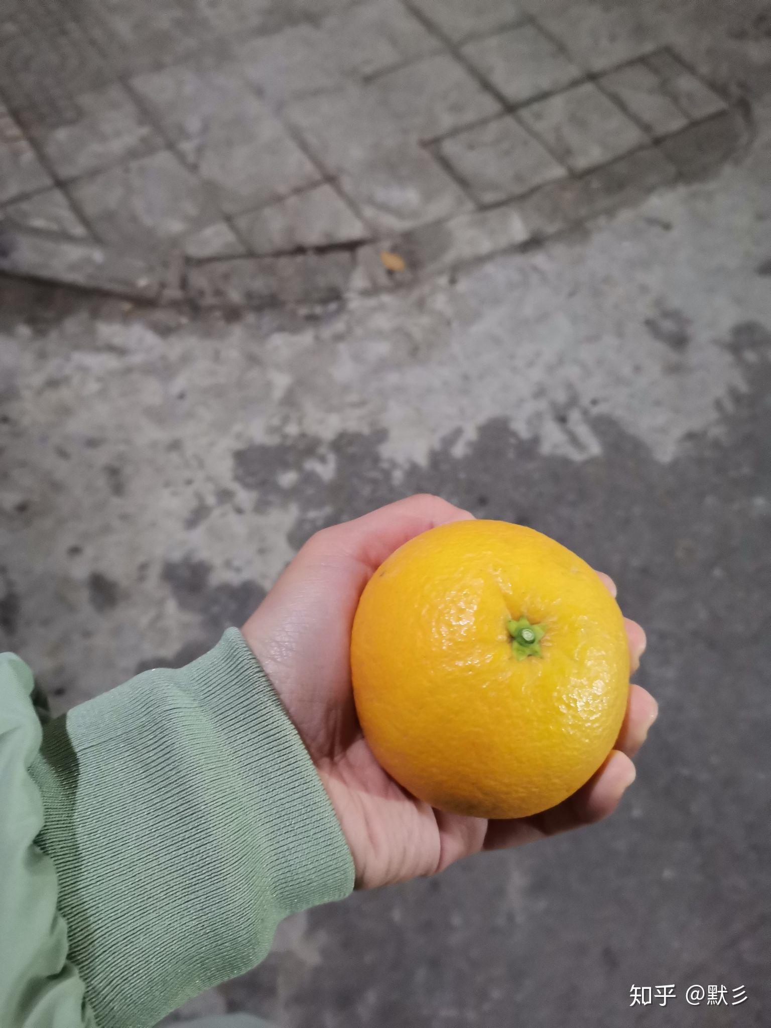 长期干旱终迎甘露 逆境深处自有生机,挑战,自我,生命的律动,第1张
