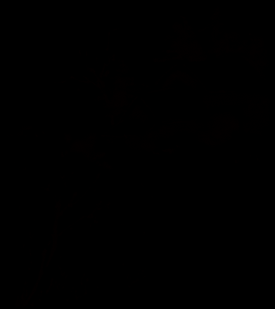 墨客追梦，解析房屋漏水的预兆与周公解梦,象征,事业,挑战,第1张