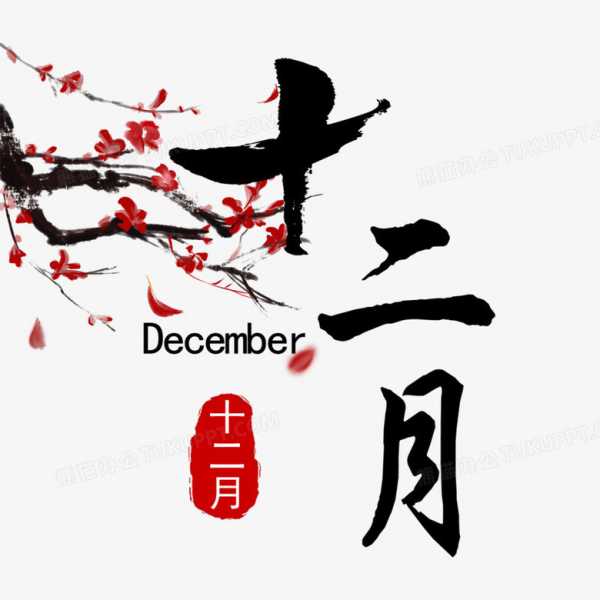 十二月的夜空，十二月的星座,象征,挑战,合作,第1张