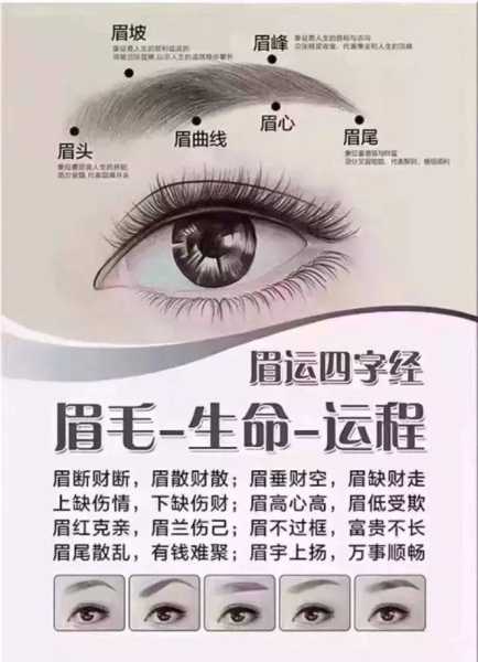 做眉毛也讲究？这些你必须知道的眉毛小知识,象征,事业,挑战,第1张