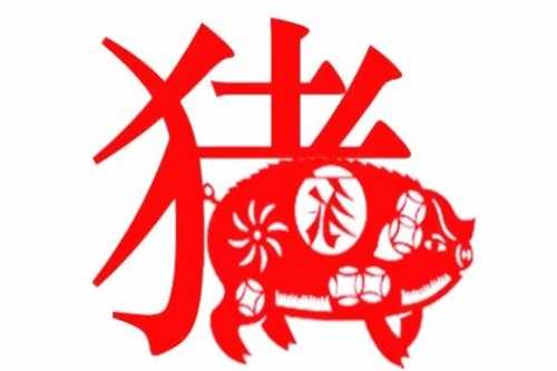 2023年1月11日生肖猪运势，事业与健康的关键时刻,事业,挑战,合作,第1张