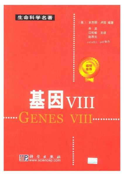 名字，文化的，生命的,象征,文化传承,装饰品,第1张