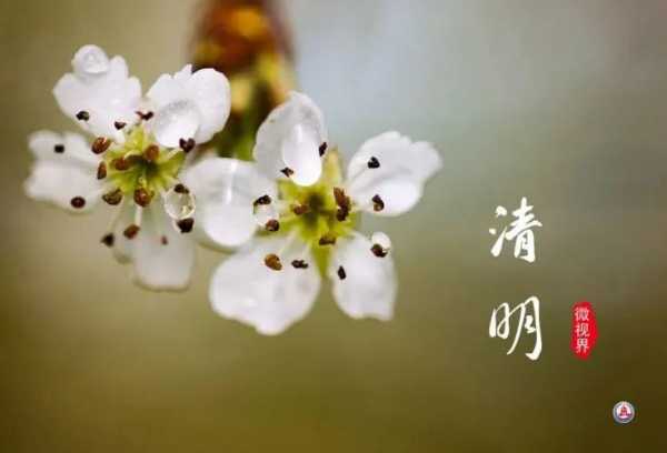 清明节吉时，自然与人文的和谐,吉时,时光,第1张