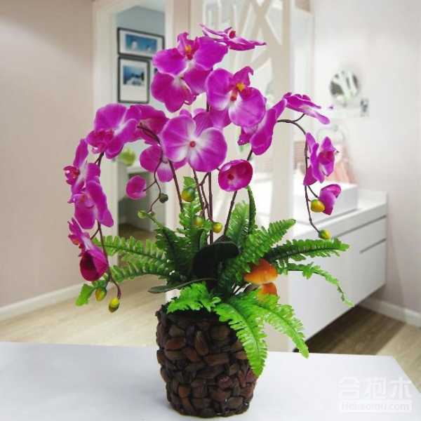 家宅养花讲究,选择与布局的智慧,象征,事业,希望,第1张 家宅养花讲究,选择与布局的智慧,象征,事业,希望,第1张