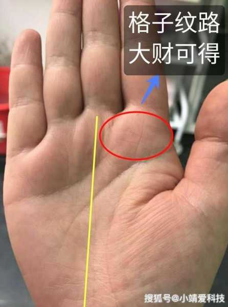 手纹看相，解读吉凶图表的奥秘,象征,命运,挑战,第1张