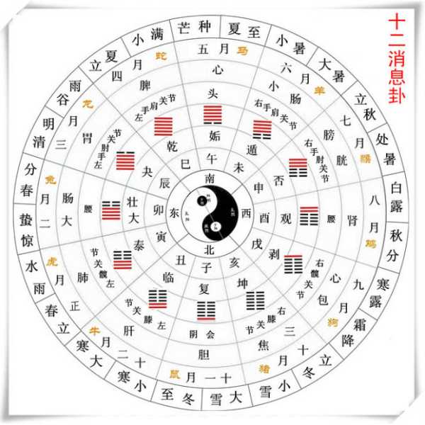 命理叫什么学,命运,事业,八字,第1张