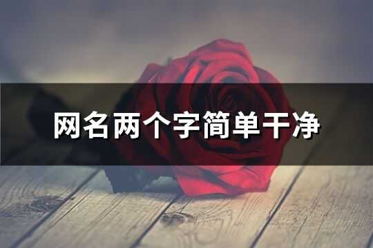 网名笔名吉凶，名字背后的美好寓意与选择之道,象征,命运,事业,第1张