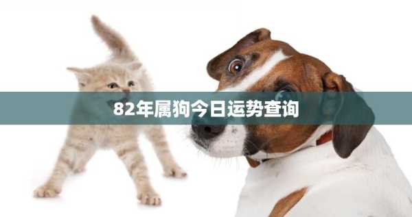 属狗人看过来！今天这些时间你最得福,吉时,能量,时光,第1张