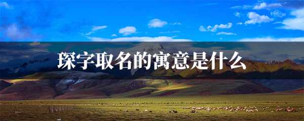 猴宝宝取名，用琛字起名的智慧与艺术,象征,合作,宝宝取名,第1张