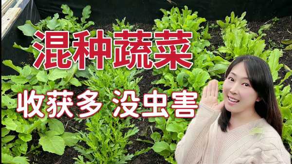 家庭种菜讲究，科学与艺术的结合,气场,与和谐,种植蔬菜,第1张