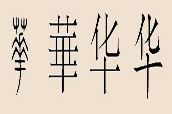 姓华宝宝怎么取名单字，传统与现代的结合,象征,宝宝取名,传统与现代,第1张