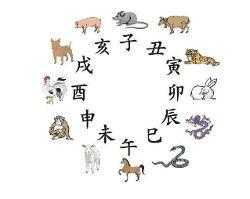 十二生肖相配对，吉凶解析与 Compatibility Insights,象征,命运,事业,第1张