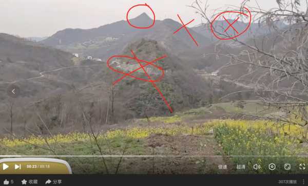 祖宅蜜蜂，化解灾祸，带来的神秘力量,象征,气场,能量,第1张