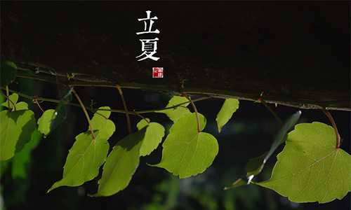 立夏将至，生肖运势解析，机遇与并存,事业,挑战,合作,第1张