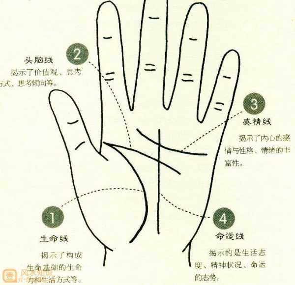 手相，命运的密码？,象征,命运,挑战,第1张