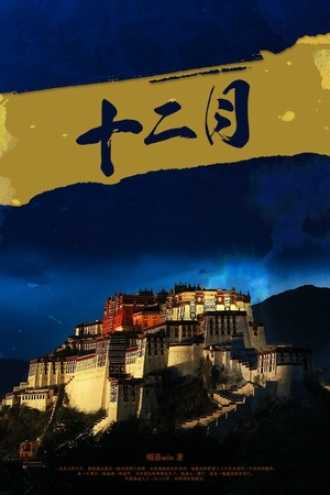 十二月的盛事，如何解构与庆祝签盛,象征,文化传承,传统与现代,第1张
