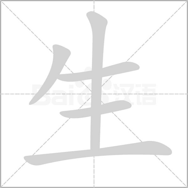 生女虎宝宝怎么取名好听,象征,宝宝取名,传统与现代,第1张