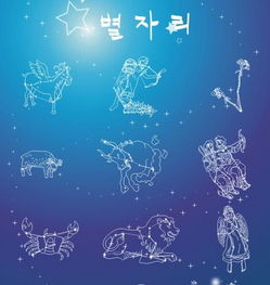 十二日，星座的生日时刻,象征,挑战,自我,第1张