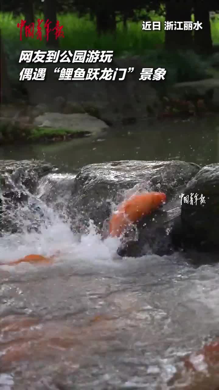 鲤鱼跃龙门，开启幸福人生,象征,事业,第1张