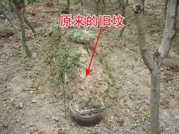 祖坟向什么方向好,事业,气场,财运,第1张