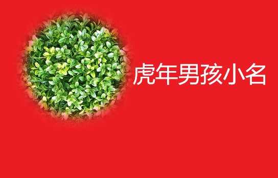虎年宝宝取名有什么好,象征,命运,宝宝取名,第1张