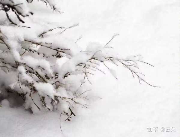 明年，您值得期待的与运势！,事业,挑战,希望,第1张