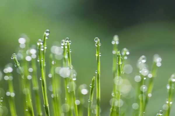 雨声预兆，自然界的奥秘与启示,象征,挑战,解梦,第1张