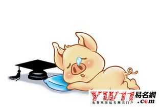 好，用户让我写一篇关于猪生肖每日运势每日运程的文章，首先得确定标题。标题要简洁有力，能吸引读者，所以猪年运势解析，每日运程与生活建议听起来不错,命运,事业,挑战,第1张