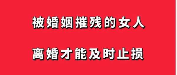 残花遭雨打，婚姻困境中的自我救赎与,自我,第1张