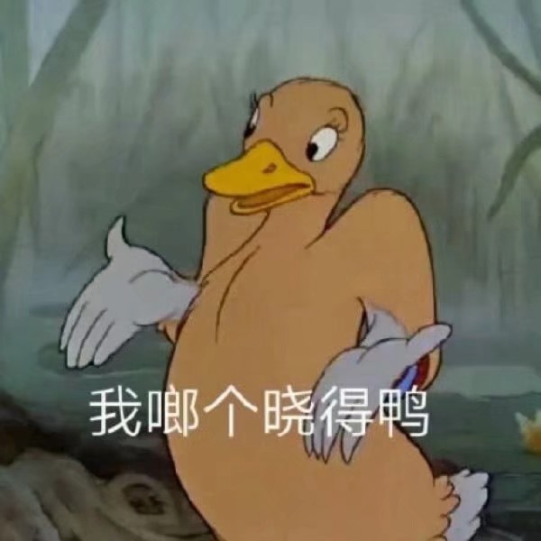 谜语中的鸟儿，解梦之谜,象征,命运,解梦,第1张
