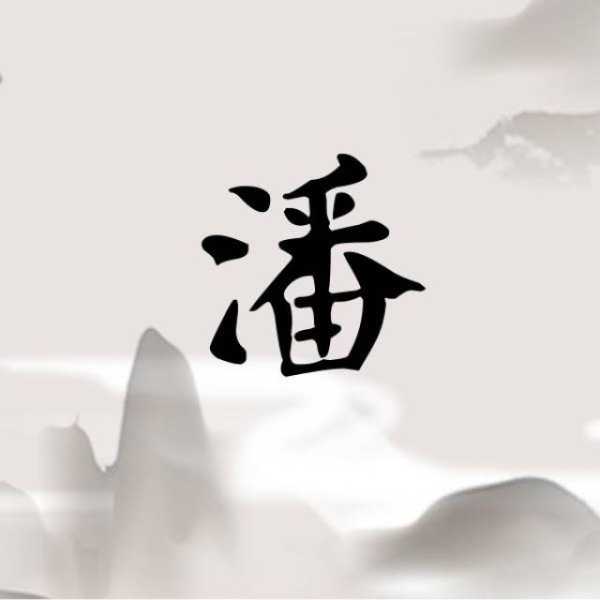 姓潘的宝宝取名，传统与现代的结合,象征,宝宝取名,文化传承,第1张