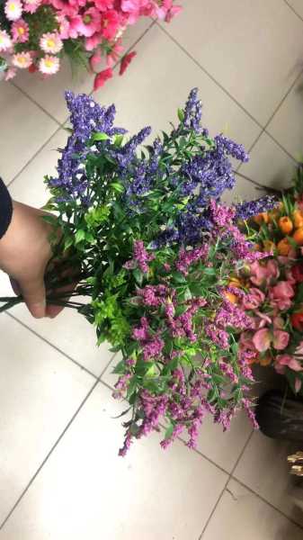 假草禁忌，如何在家中正确使用假草，避免不顺,象征,气场,能量,第1张