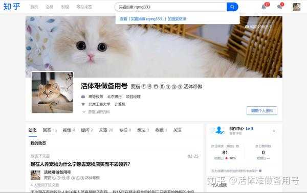 新家养什么猫好吉利,象征,挑战,能量,第1张