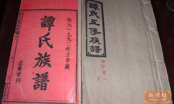 姓谭宝宝取名字，传统与现代的结合,象征,命运,宝宝取名,第1张