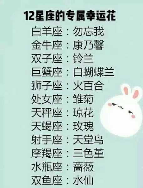 十二星座的颜色解析,象征,挑战,十二星座,第1张