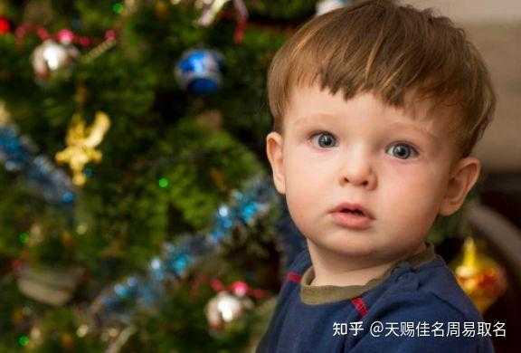 宝宝明年取名，传统与现代结合的艺术,象征,命运,宝宝取名,第1张