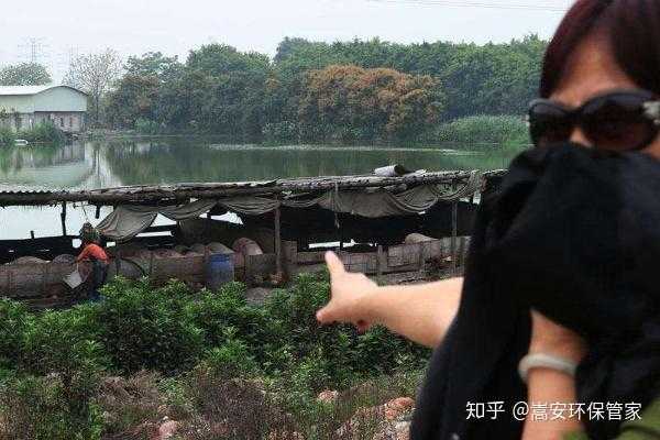 建养殖场忌讳什么,事业,气场,财运,第1张