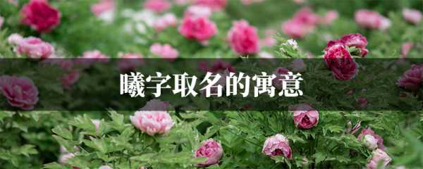 王梓曦名字的吉凶解析，寓意与意义,象征,气场,能量,第1张