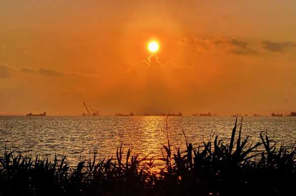 73年生肖牛2023年运势详解,事业财运双丰收,健康平安伴左右,事业,挑战,希望,第1张 73年生肖牛2023年运势详解,事业财运双丰收,健康平安伴左右,事业,挑战,希望,第1张