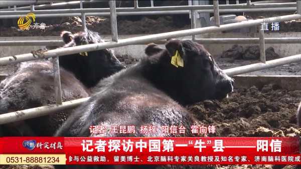 2021牛年剖腹产吉时来了，准必看！,象征,吉时,成功,第1张