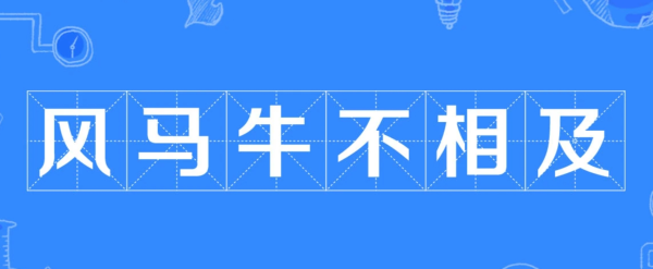 除了牛还有什么牛,象征,事业,能量,第1张