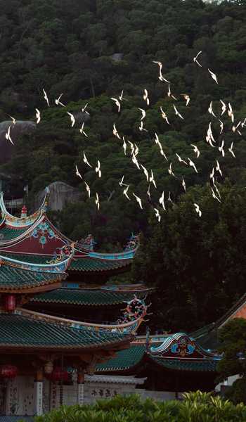 南普陀寺哪里能求签？探秘南普陀寺的求签之地,挑战,希望,求签,第1张